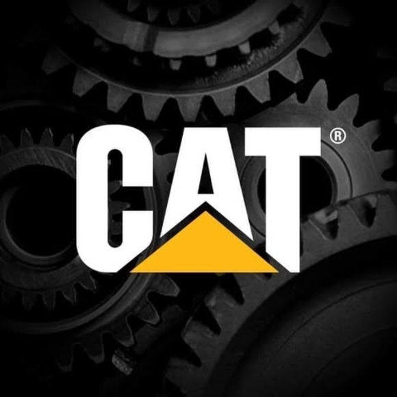 cat32378